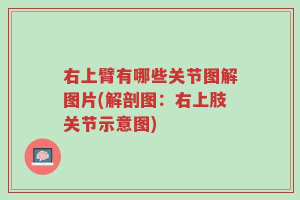 右上臂有哪些关节图解图片(解剖图:右上肢关节示意图)-第1张图片-超越 右上臂有哪些关节图解图片(解剖图:右上肢关节示意图)-第1张图片-超越