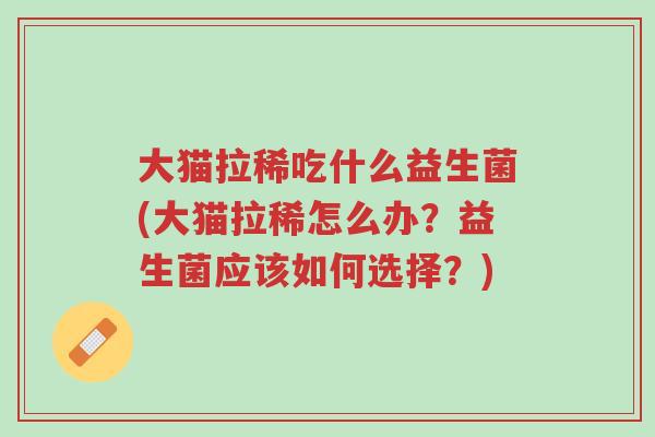 大猫拉稀吃什么益生菌(大猫拉稀怎么办?益生菌应该如何选择?)-第1张图片-超越 大猫拉稀吃什么益生菌(大猫拉稀怎么办?益生菌应该如何选择?)-第1张图片-超越