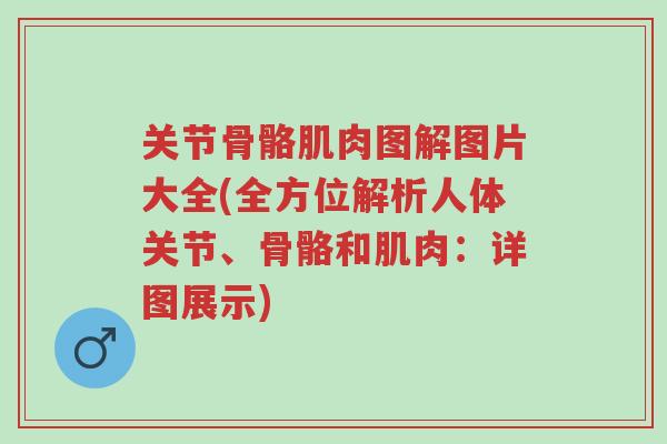 关节骨骼肌肉图解图片大全(全方位解析人体关节、骨骼和肌肉:详图展示)-第1张图片-超越 关节骨骼肌肉图解图片大全(全方位解析人体关节、骨骼和肌肉:详图展示)-第1张图片-超越