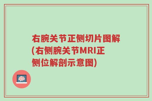 右腕关节正侧切片图解(右侧腕关节MRI正侧位解剖示意图)-第1张图片-超越 右腕关节正侧切片图解(右侧腕关节MRI正侧位解剖示意图)-第1张图片-超越