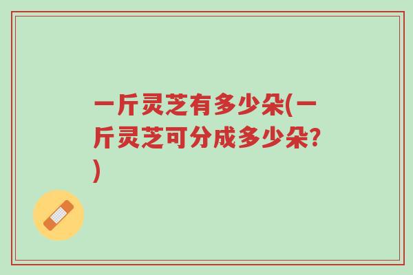一斤灵芝有多少朵(一斤灵芝可分成多少朵?)-第1张图片-超越 一斤灵芝有多少朵(一斤灵芝可分成多少朵?)-第1张图片-超越