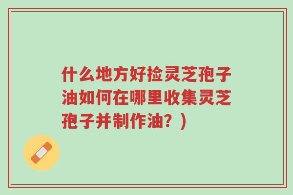 什么地方好捡灵芝孢子油如何在哪里收集灵芝孢子并制作油?)-第1张图片-超越 什么地方好捡灵芝孢子油如何在哪里收集灵芝孢子并制作油?)-第1张图片-超越