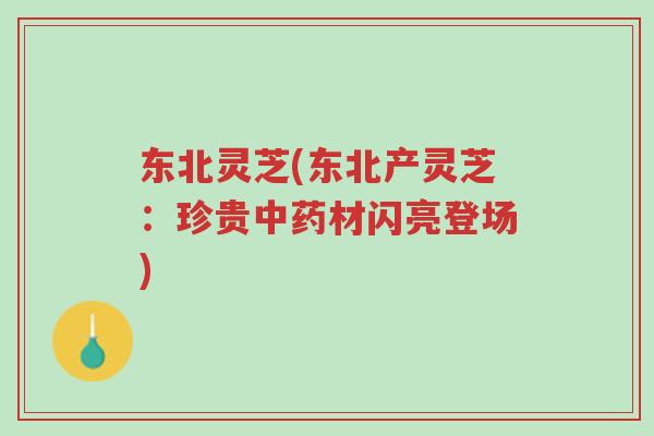东北灵芝(东北产灵芝:珍贵中药材闪亮登场)-第1张图片-超越 东北灵芝(东北产灵芝:珍贵中药材闪亮登场)-第1张图片-超越