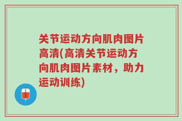 关节运动方向肌肉图片高清(高清关节运动方向肌肉图片素材,助力运动训练)-第1张图片-超越 关节运动方向肌肉图片高清(高清关节运动方向肌肉图片素材,助力运动训练)-第1张图片-超越