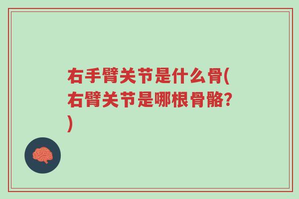 右手臂关节是什么骨(右臂关节是哪根骨骼?)-第1张图片-超越 右手臂关节是什么骨(右臂关节是哪根骨骼?)-第1张图片-超越