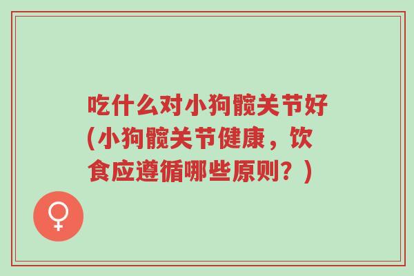 吃什么对小狗髋关节好(小狗髋关节健康,饮食应遵循哪些原则?)-第1张图片-超越 吃什么对小狗髋关节好(小狗髋关节健康,饮食应遵循哪些原则?)-第1张图片-超越