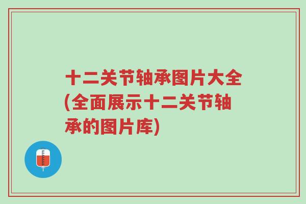 十二关节轴承图片大全(全面展示十二关节轴承的图片库)-第1张图片-超越