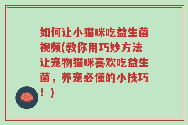 如何让小猫咪吃益生菌视频(教你用巧妙方法让宠物猫咪喜欢吃益生菌,养宠必懂的小技巧!)-第1张图片-超越 如何让小猫咪吃益生菌视频(教你用巧妙方法让宠物猫咪喜欢吃益生菌,养宠必懂的小技巧!)-第1张图片-超越