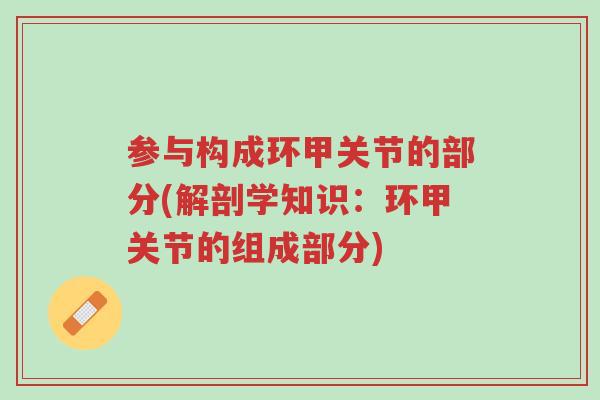 参与构成环甲关节的部分(解剖学知识:环甲关节的组成部分)-第1张图片-超越 参与构成环甲关节的部分(解剖学知识:环甲关节的组成部分)-第1张图片-超越