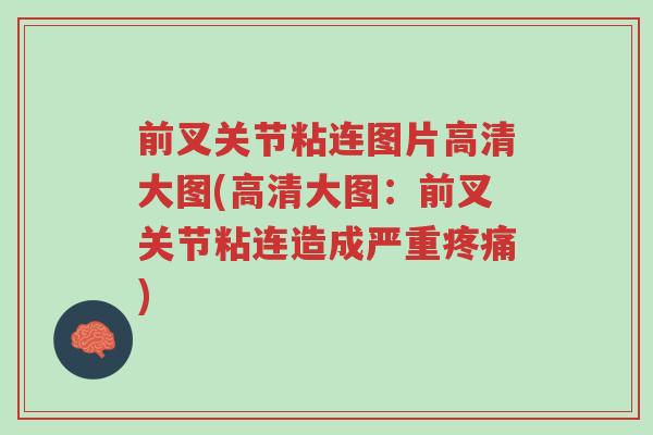 前叉关节粘连图片高清大图(高清大图：前叉关节粘连造成严重疼痛)-第1张图片-超越