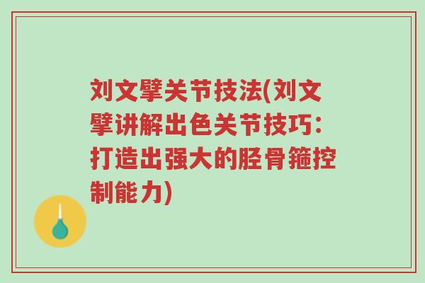 刘文擘关节技法(刘文擘讲解出色关节技巧:打造出强大的胫骨箍控制能力)-第1张图片-超越 刘文擘关节技法(刘文擘讲解出色关节技巧:打造出强大的胫骨箍控制能力)-第1张图片-超越