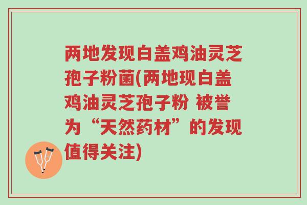 两地发现白盖鸡油灵芝孢子粉菌(两地现白盖鸡油灵芝孢子粉 被誉为“天然药材”的发现值得关注)-第1张图片-超越 两地发现白盖鸡油灵芝孢子粉菌(两地现白盖鸡油灵芝孢子粉 被誉为“天然药材”的发现值得关注)-第1张图片-超越