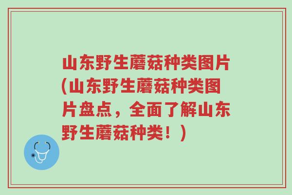山东野生蘑菇种类图片(山东野生蘑菇种类图片盘点,全面了解山东野生蘑菇种类!)-第1张图片-超越 山东野生蘑菇种类图片(山东野生蘑菇种类图片盘点,全面了解山东野生蘑菇种类!)-第1张图片-超越
