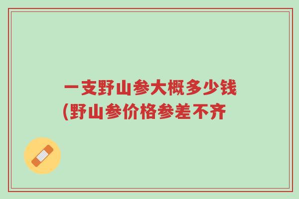 一支野山参大概多少钱(野山参价格参差不齐-第1张图片-超越 一支野山参大概多少钱(野山参价格参差不齐-第1张图片-超越
