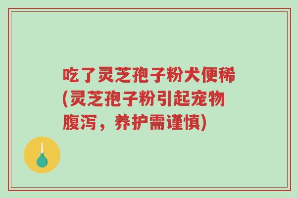 吃了灵芝孢子粉犬便稀(灵芝孢子粉引起宠物腹泻,养护需谨慎)-第1张图片-超越 吃了灵芝孢子粉犬便稀(灵芝孢子粉引起宠物腹泻,养护需谨慎)-第1张图片-超越