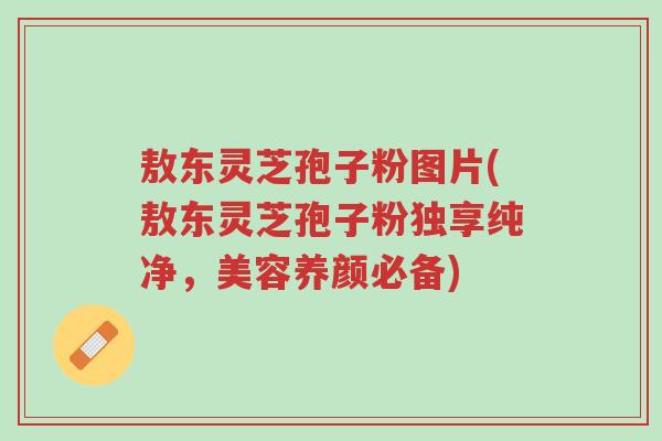敖东灵芝孢子粉图片(敖东灵芝孢子粉独享纯净,美容养颜必备)-第1张图片-超越 敖东灵芝孢子粉图片(敖东灵芝孢子粉独享纯净,美容养颜必备)-第1张图片-超越