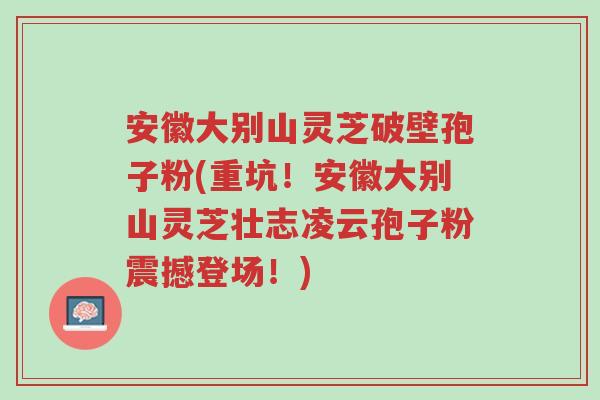 安徽大别山灵芝破壁孢子粉(重坑！安徽大别山灵芝壮志凌云孢子粉震撼登场！)-第1张图片-超越