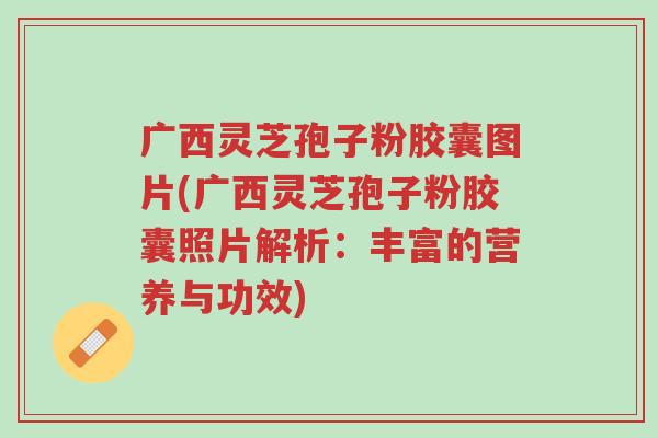 广西灵芝孢子粉胶囊图片(广西灵芝孢子粉胶囊照片解析:丰富的营养与功效)-第1张图片-超越 广西灵芝孢子粉胶囊图片(广西灵芝孢子粉胶囊照片解析:丰富的营养与功效)-第1张图片-超越