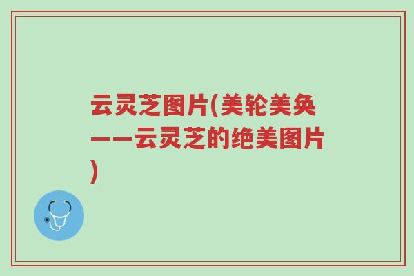 云灵芝图片(美轮美奂——云灵芝的绝美图片)-第1张图片-超越 云灵芝图片(美轮美奂——云灵芝的绝美图片)-第1张图片-超越