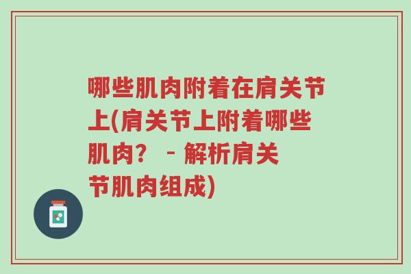 哪些肌肉附着在肩关节上(肩关节上附着哪些肌肉？ - 解析肩关节肌肉组成)-第1张图片-超越