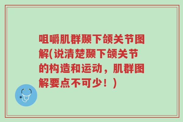 咀嚼肌群颞下颌关节图解(说清楚颞下颌关节的构造和运动,肌群图解要点不可少!)-第1张图片-超越 咀嚼肌群颞下颌关节图解(说清楚颞下颌关节的构造和运动,肌群图解要点不可少!)-第1张图片-超越