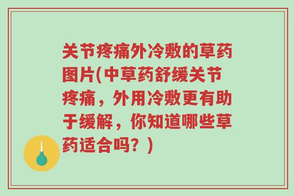 关节疼痛外冷敷的草药图片(中草药舒缓关节疼痛,外用冷敷更有助于缓解,你知道哪些草药适合吗?)-第1张图片-超越 关节疼痛外冷敷的草药图片(中草药舒缓关节疼痛,外用冷敷更有助于缓解,你知道哪些草药适合吗?)-第1张图片-超越