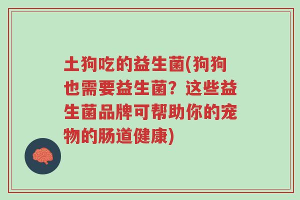 土狗吃的益生菌(狗狗也需要益生菌？这些益生菌品牌可帮助你的宠物的肠道健康)-第1张图片-超越