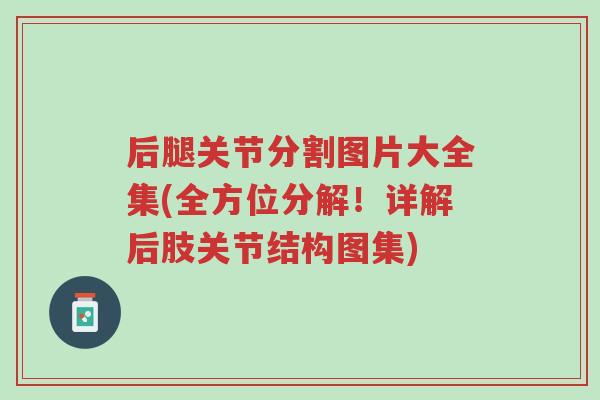 后腿关节分割图片大全集(全方位分解!详解后肢关节结构图集)-第1张图片-超越 后腿关节分割图片大全集(全方位分解!详解后肢关节结构图集)-第1张图片-超越