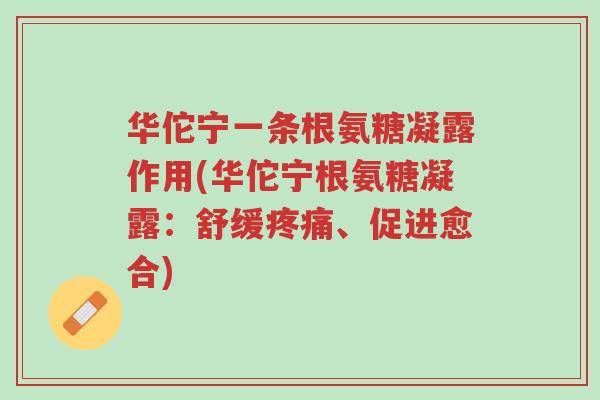 华佗宁一条根氨糖凝露作用(华佗宁根氨糖凝露:舒缓疼痛、促进愈合)-第1张图片-超越 华佗宁一条根氨糖凝露作用(华佗宁根氨糖凝露:舒缓疼痛、促进愈合)-第1张图片-超越