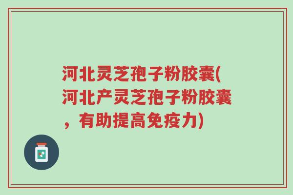 河北灵芝孢子粉胶囊(河北产灵芝孢子粉胶囊，有助提高免疫力)-第1张图片-超越