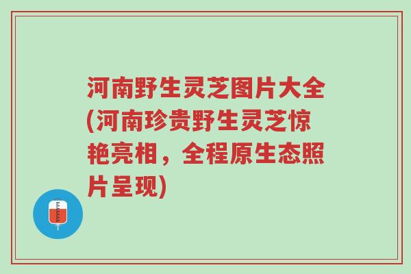 河南野生灵芝图片大全(河南珍贵野生灵芝惊艳亮相，全程原生态照片呈现)-第1张图片-超越