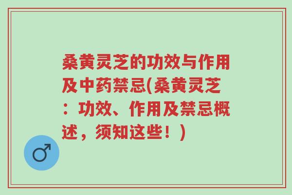 桑黄灵芝的功效与作用及中药禁忌(桑黄灵芝:功效、作用及禁忌概述,须知这些!)-第1张图片-超越 桑黄灵芝的功效与作用及中药禁忌(桑黄灵芝:功效、作用及禁忌概述,须知这些!)-第1张图片-超越