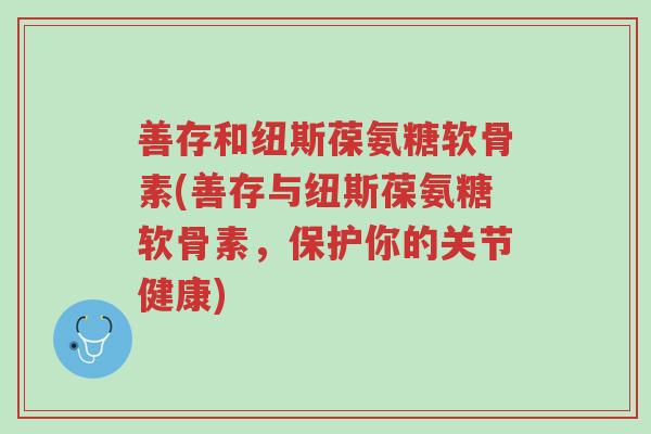 善存和纽斯葆氨糖软骨素(善存与纽斯葆氨糖软骨素,保护你的关节健康)-第1张图片-超越 善存和纽斯葆氨糖软骨素(善存与纽斯葆氨糖软骨素,保护你的关节健康)-第1张图片-超越