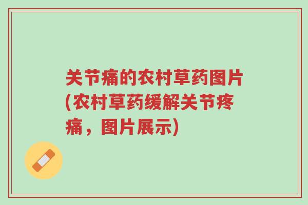 关节痛的农村草药图片(农村草药缓解关节疼痛，图片展示)-第1张图片-超越