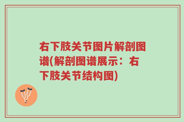 右下肢关节图片解剖图谱(解剖图谱展示:右下肢关节结构图)-第1张图片-超越 右下肢关节图片解剖图谱(解剖图谱展示:右下肢关节结构图)-第1张图片-超越