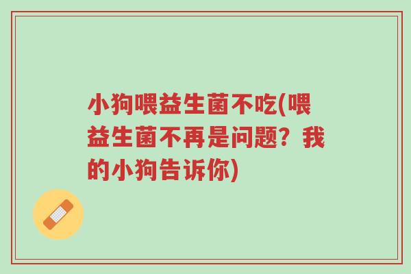 小狗喂益生菌不吃(喂益生菌不再是问题?我的小狗告诉你)-第1张图片-超越 小狗喂益生菌不吃(喂益生菌不再是问题?我的小狗告诉你)-第1张图片-超越