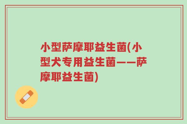 小型萨摩耶益生菌(小型犬专用益生菌——萨摩耶益生菌)-第1张图片-超越