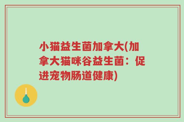 小猫益生菌加拿大(加拿大猫咪谷益生菌:促进宠物肠道健康)-第1张图片-超越 小猫益生菌加拿大(加拿大猫咪谷益生菌:促进宠物肠道健康)-第1张图片-超越
