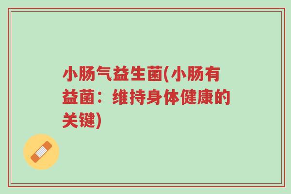 小肠气益生菌(小肠有益菌:维持身体健康的关键)-第1张图片-超越 小肠气益生菌(小肠有益菌:维持身体健康的关键)-第1张图片-超越