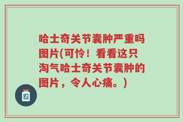 哈士奇关节囊肿严重吗图片(可怜!看看这只淘气哈士奇关节囊肿的图片,令人心痛。)-第1张图片-超越 哈士奇关节囊肿严重吗图片(可怜!看看这只淘气哈士奇关节囊肿的图片,令人心痛。)-第1张图片-超越