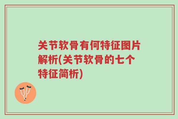 关节软骨有何特征图片解析(关节软骨的七个特征简析)-第1张图片-超越 关节软骨有何特征图片解析(关节软骨的七个特征简析)-第1张图片-超越