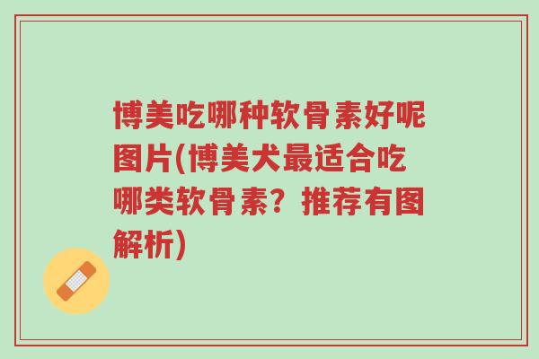 博美吃哪种软骨素好呢图片(博美犬最适合吃哪类软骨素？推荐有图解析)-第1张图片-超越