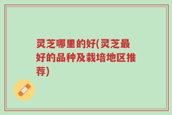 灵芝哪里的好(灵芝最好的品种及栽培地区推荐)-第1张图片-超越 灵芝哪里的好(灵芝最好的品种及栽培地区推荐)-第1张图片-超越