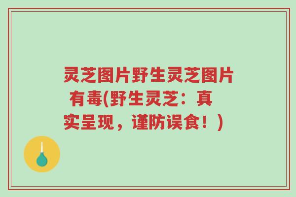 灵芝图片野生灵芝图片 有毒(野生灵芝:真实呈现,谨防误食!)-第1张图片-超越 灵芝图片野生灵芝图片 有毒(野生灵芝:真实呈现,谨防误食!)-第1张图片-超越