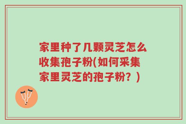 家里种了几颗灵芝怎么收集孢子粉(如何采集家里灵芝的孢子粉?)-第1张图片-超越 家里种了几颗灵芝怎么收集孢子粉(如何采集家里灵芝的孢子粉?)-第1张图片-超越
