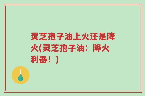 灵芝孢子油上火还是降火(灵芝孢子油:降火利器!)-第1张图片-超越 灵芝孢子油上火还是降火(灵芝孢子油:降火利器!)-第1张图片-超越