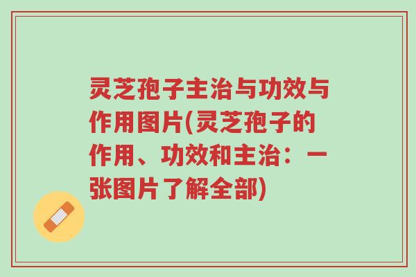 灵芝孢子主治与功效与作用图片(灵芝孢子的作用、功效和主治:一张图片了解全部)-第1张图片-超越 灵芝孢子主治与功效与作用图片(灵芝孢子的作用、功效和主治:一张图片了解全部)-第1张图片-超越