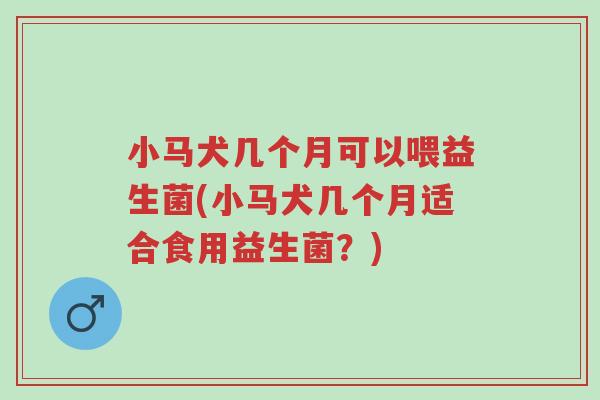 小马犬几个月可以喂益生菌(小马犬几个月适合食用益生菌?)-第1张图片-超越 小马犬几个月可以喂益生菌(小马犬几个月适合食用益生菌?)-第1张图片-超越