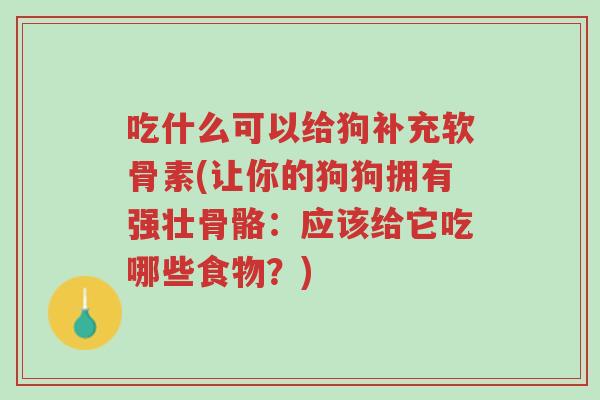 吃什么可以给狗补充软骨素(让你的狗狗拥有强壮骨骼:应该给它吃哪些食物?)-第1张图片-超越 吃什么可以给狗补充软骨素(让你的狗狗拥有强壮骨骼:应该给它吃哪些食物?)-第1张图片-超越