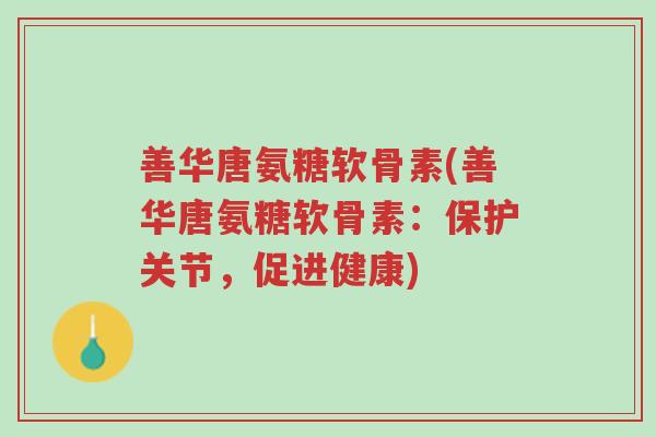 善华唐氨糖软骨素(善华唐氨糖软骨素:保护关节,促进健康)-第1张图片-超越 善华唐氨糖软骨素(善华唐氨糖软骨素:保护关节,促进健康)-第1张图片-超越